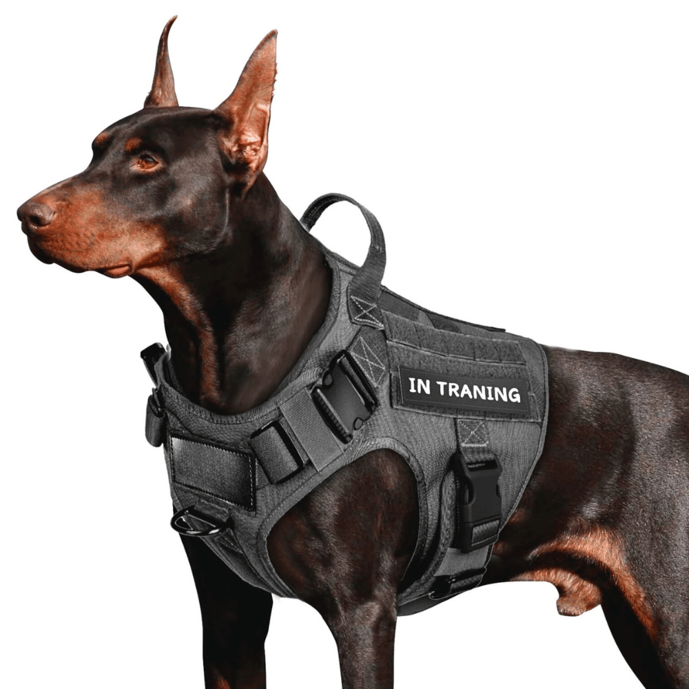 Tactical Dog Harness No-Pull Heavy Duty, Adjustable with Easy Handle (Large Size Dogs)