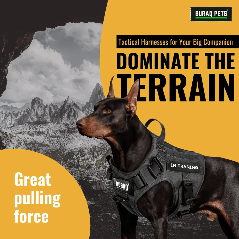 Tactical Dog Harness No-Pull Heavy Duty, Adjustable with Easy Handle (Large Size Dogs)