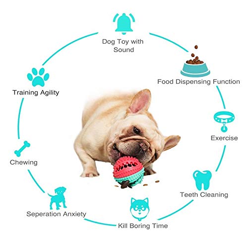 Interactive Dog Ball, Teeth Cleaning & Chew