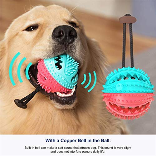 Interactive Dog Ball, Teeth Cleaning & Chew
