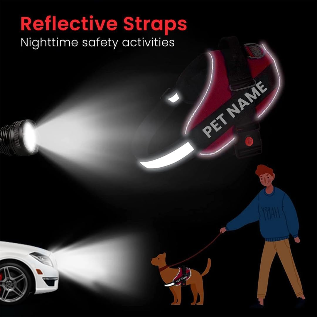 K9 Dog Harness With Name (Harness + Leash) Red