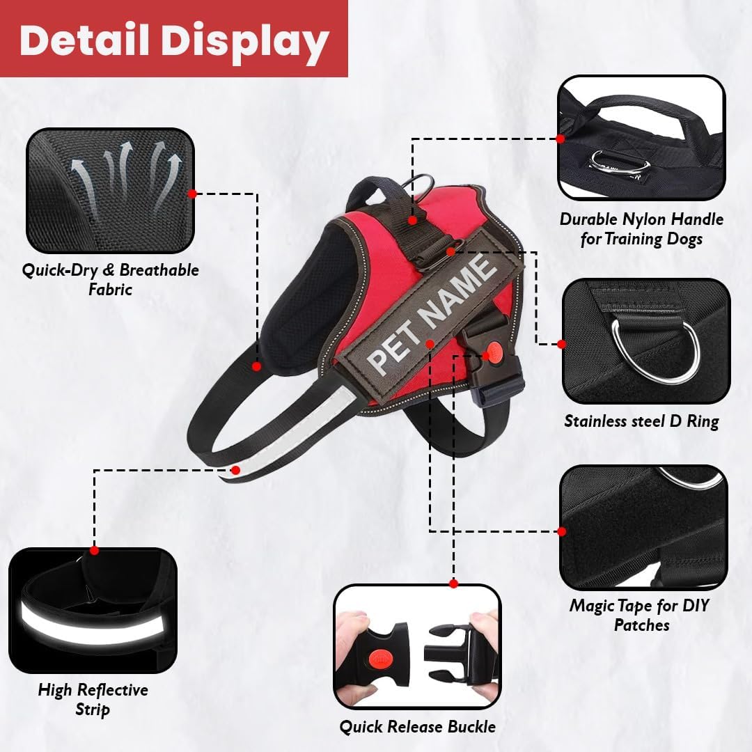 K9 Dog Harness With Name (Harness + Leash) Red