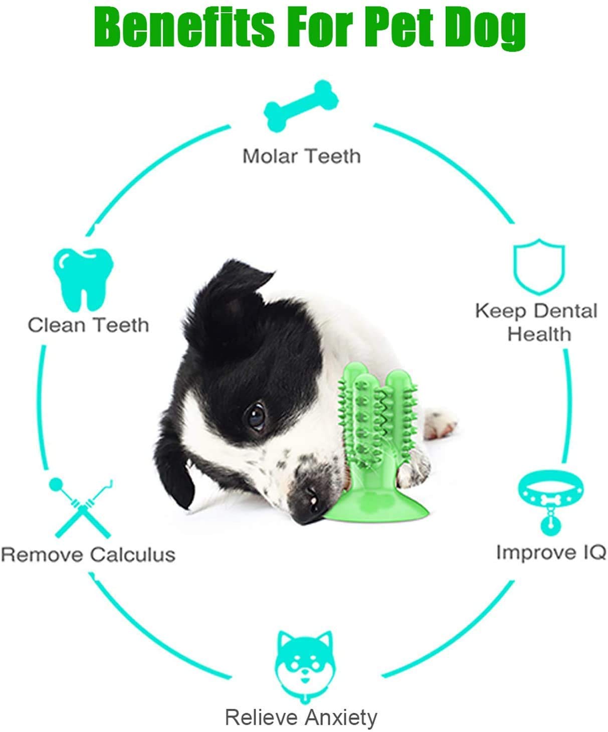 Teeth Brushing Chew Toy for Dogs