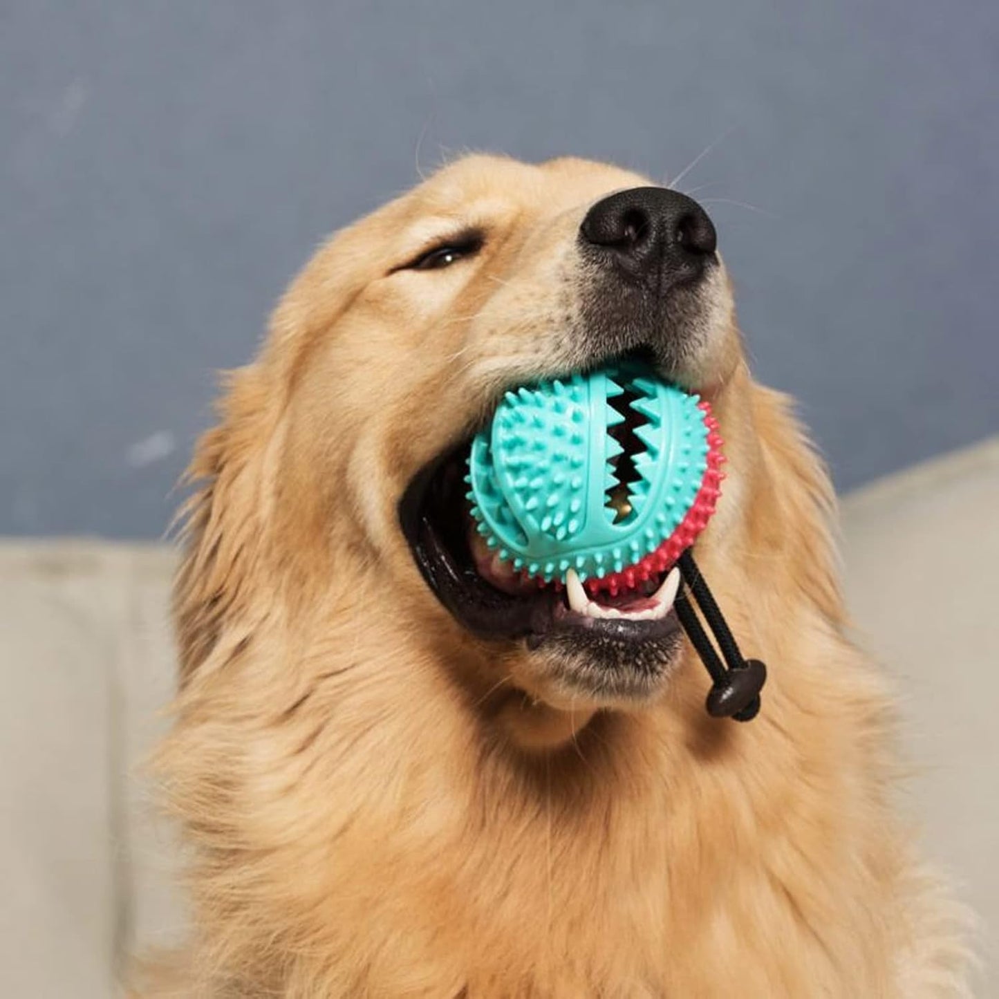 Interactive Dog Ball, Teeth Cleaning & Chew