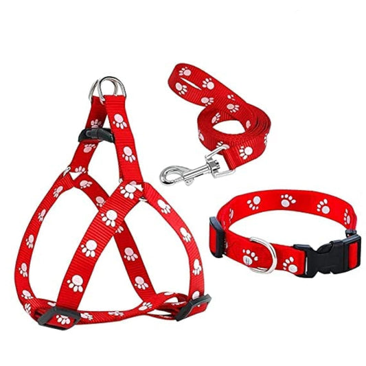 15 mm Paw Print Nylon Puppy Harness & Leash Set for Small & Medium Dogs (Color May Vary) - Pack of (Harness + Leash)