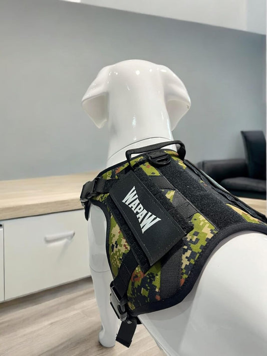 Tactical Dog Harness with Personalized Name - No-Pull - Heavy Duty Adjustable Harness