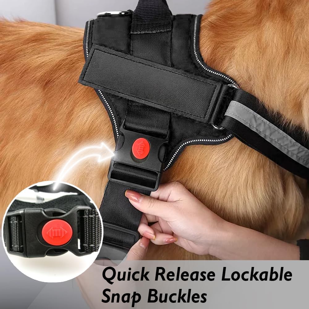 K9 Dog Harness With Name (Harness + Leash) Black
