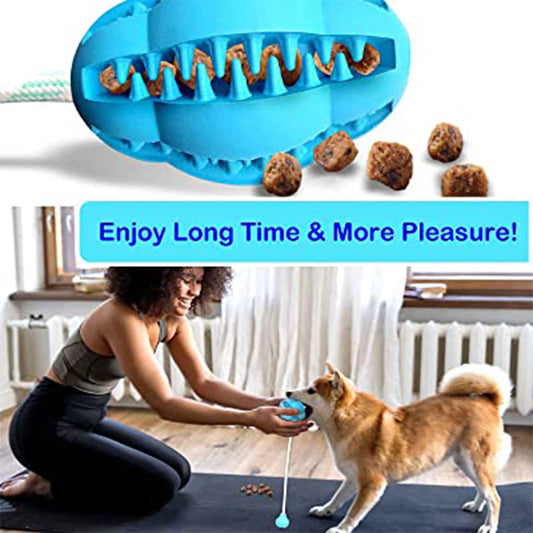 Dog Chew Ball Toy with Tug and Dispenser