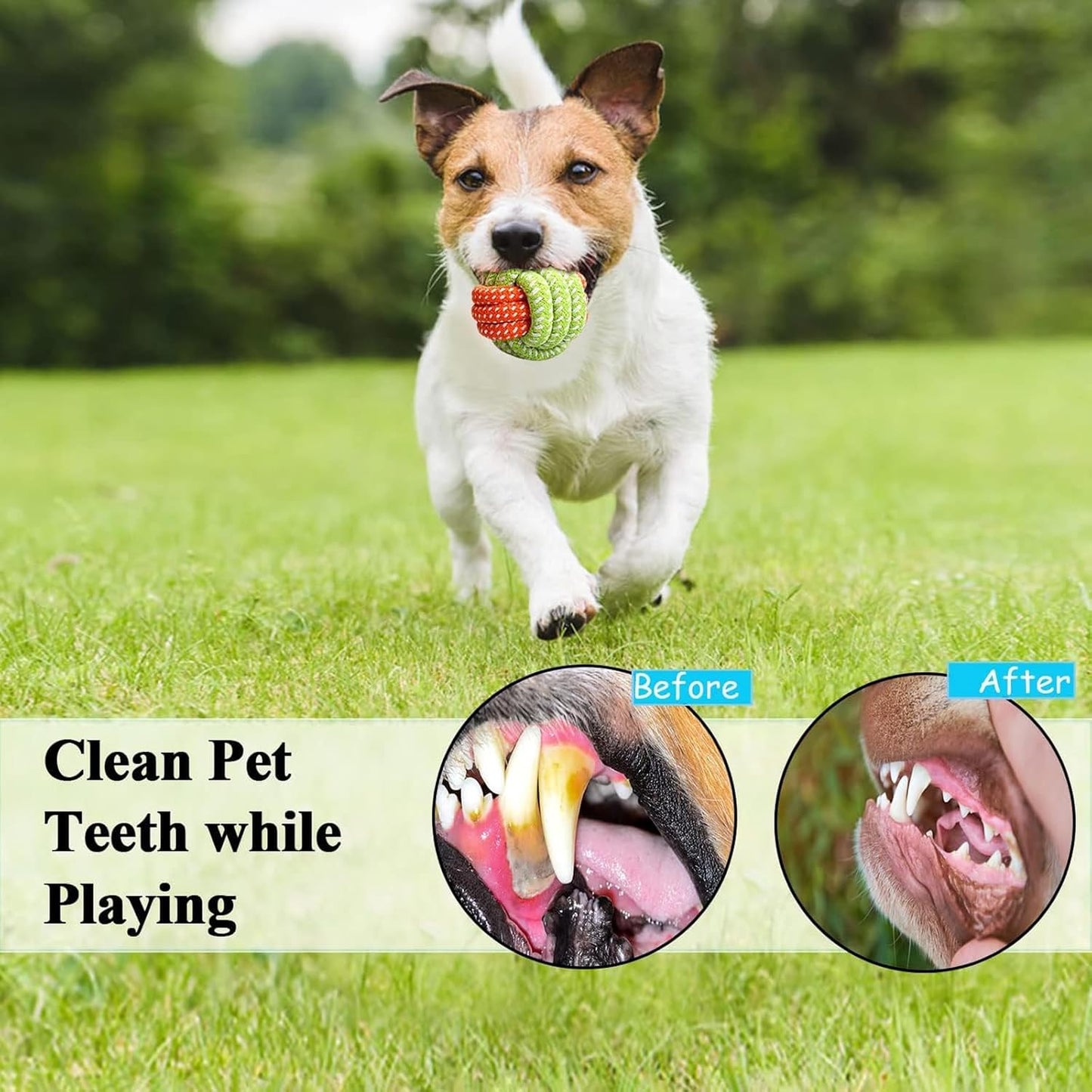 Cotton Rope Dog Chew Toys