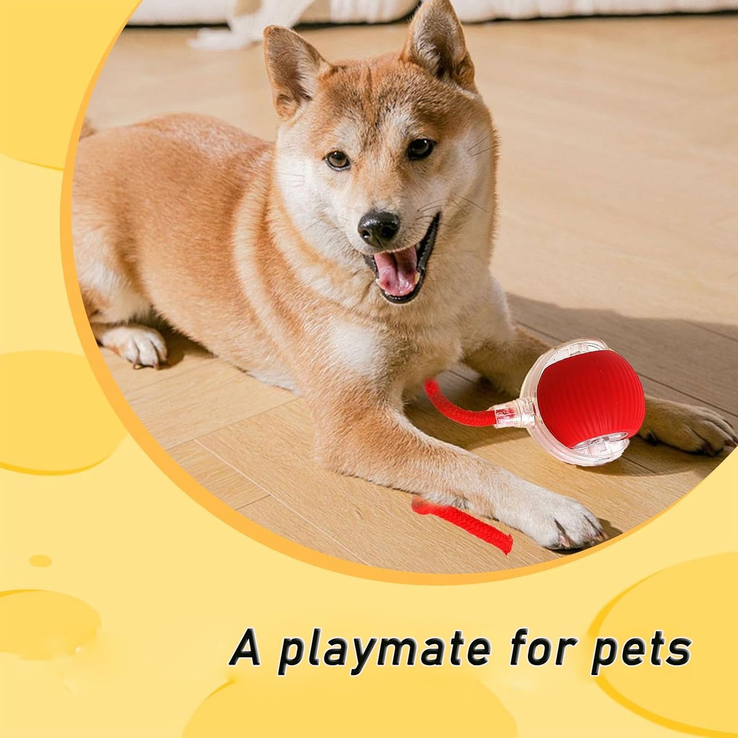 Interactive Pet Ball Toy - Automatic Rolling Dancing Ball