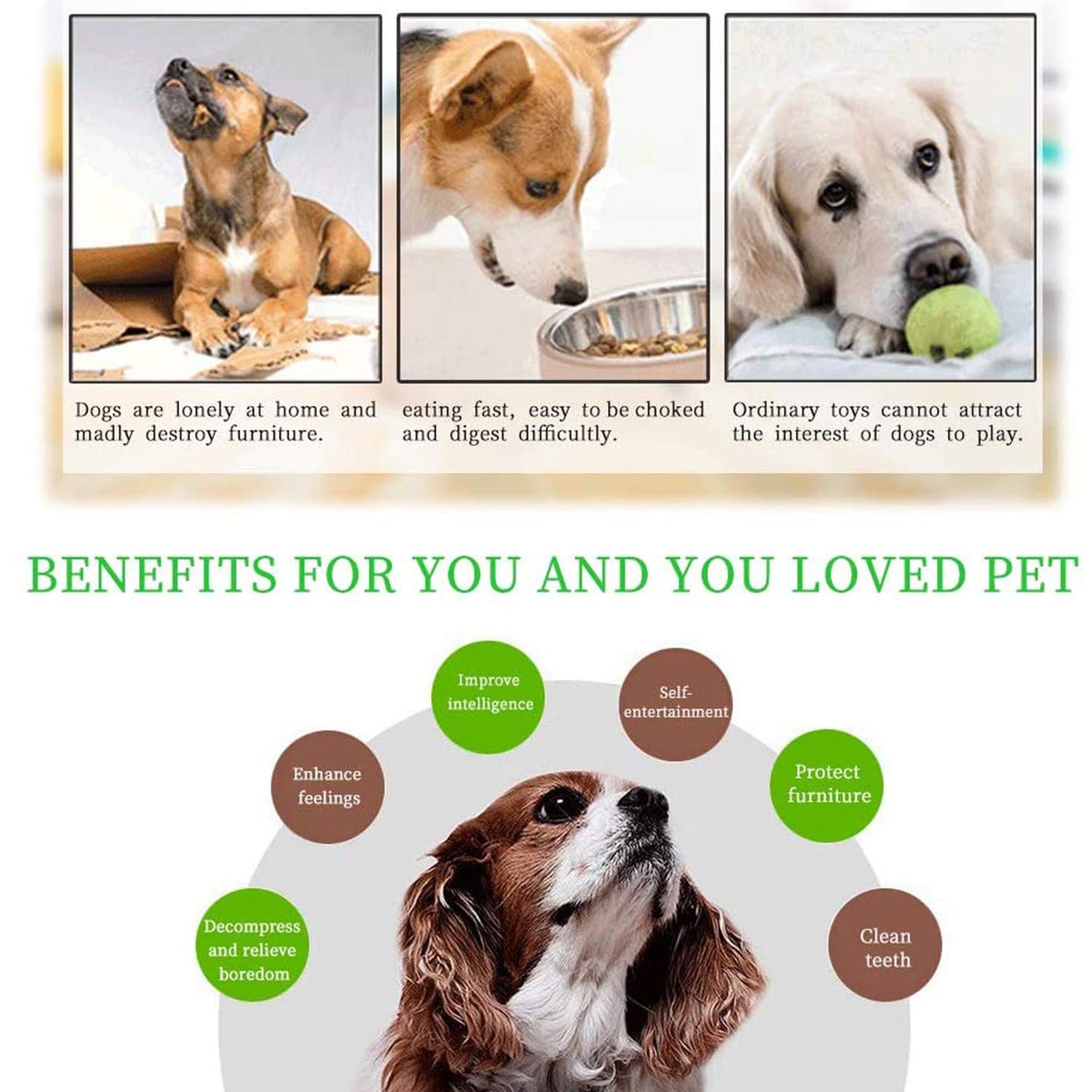 Interactive Dog Puzzle Slow Feeder Toy for Pets