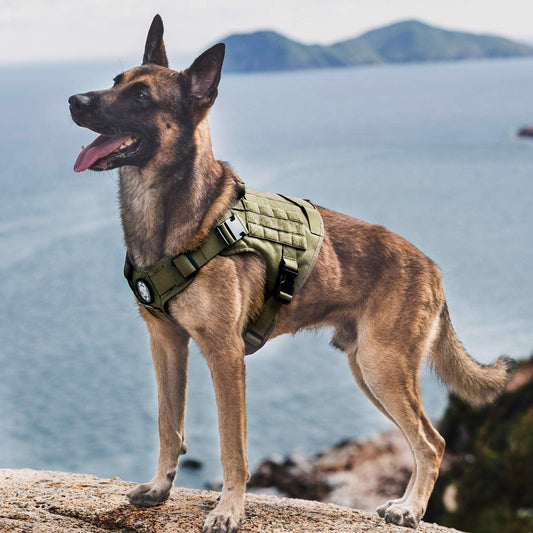 Tactical Dog Harness with Personalized Name - No-Pull - Heavy Duty Adjustable Harness