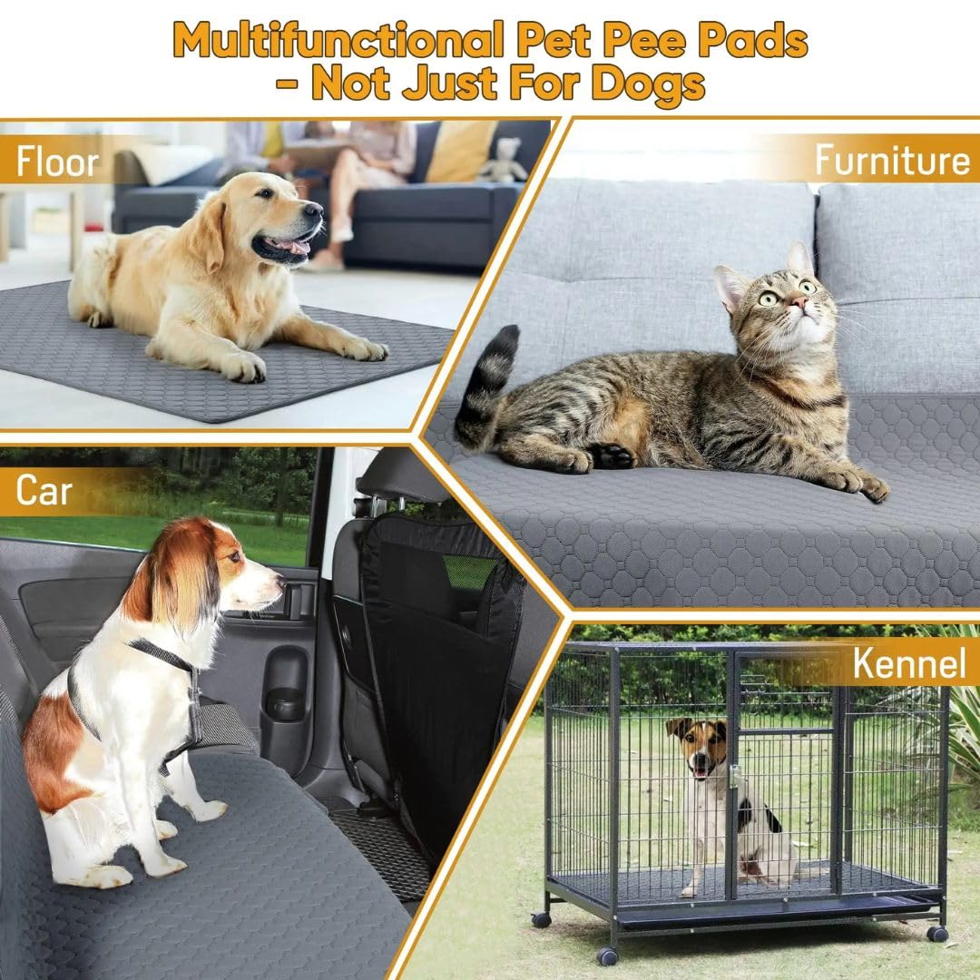 Washable Pee Pads for Dogs (Pack of 2) | Super Absorbent, Machine Washable, Reusable Mats – 100% Waterproof, Anti-Skid Bottom