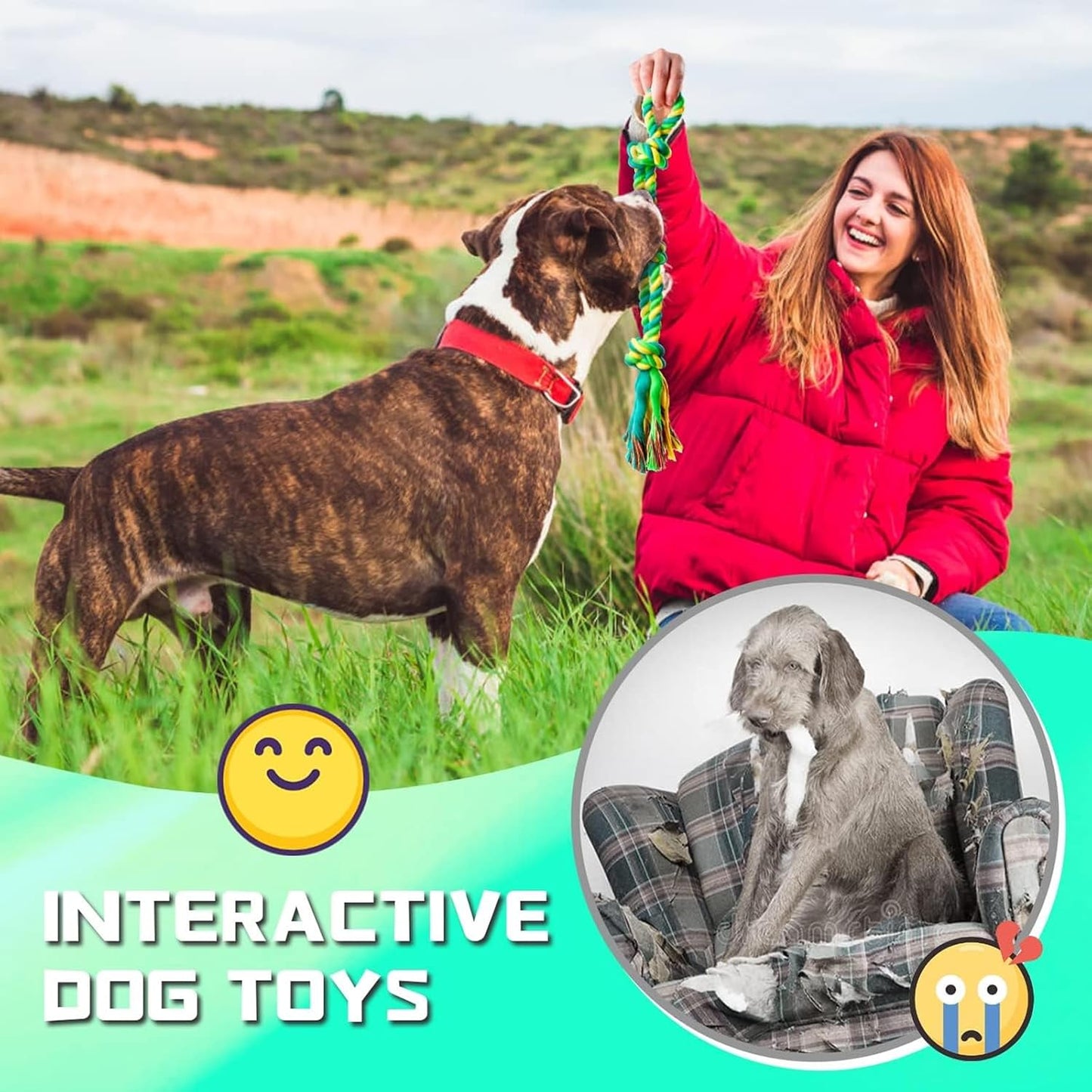 Dog Chew Cotton Rope Toys