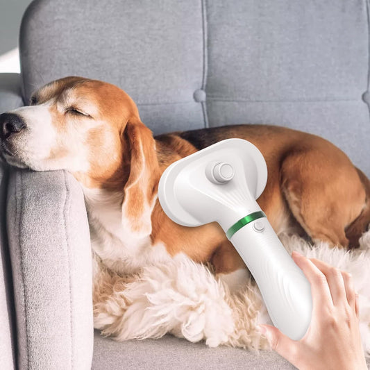 Pet Hair Dryer with Slicker Brush for Dogs & Cats with Adjustable Temperature