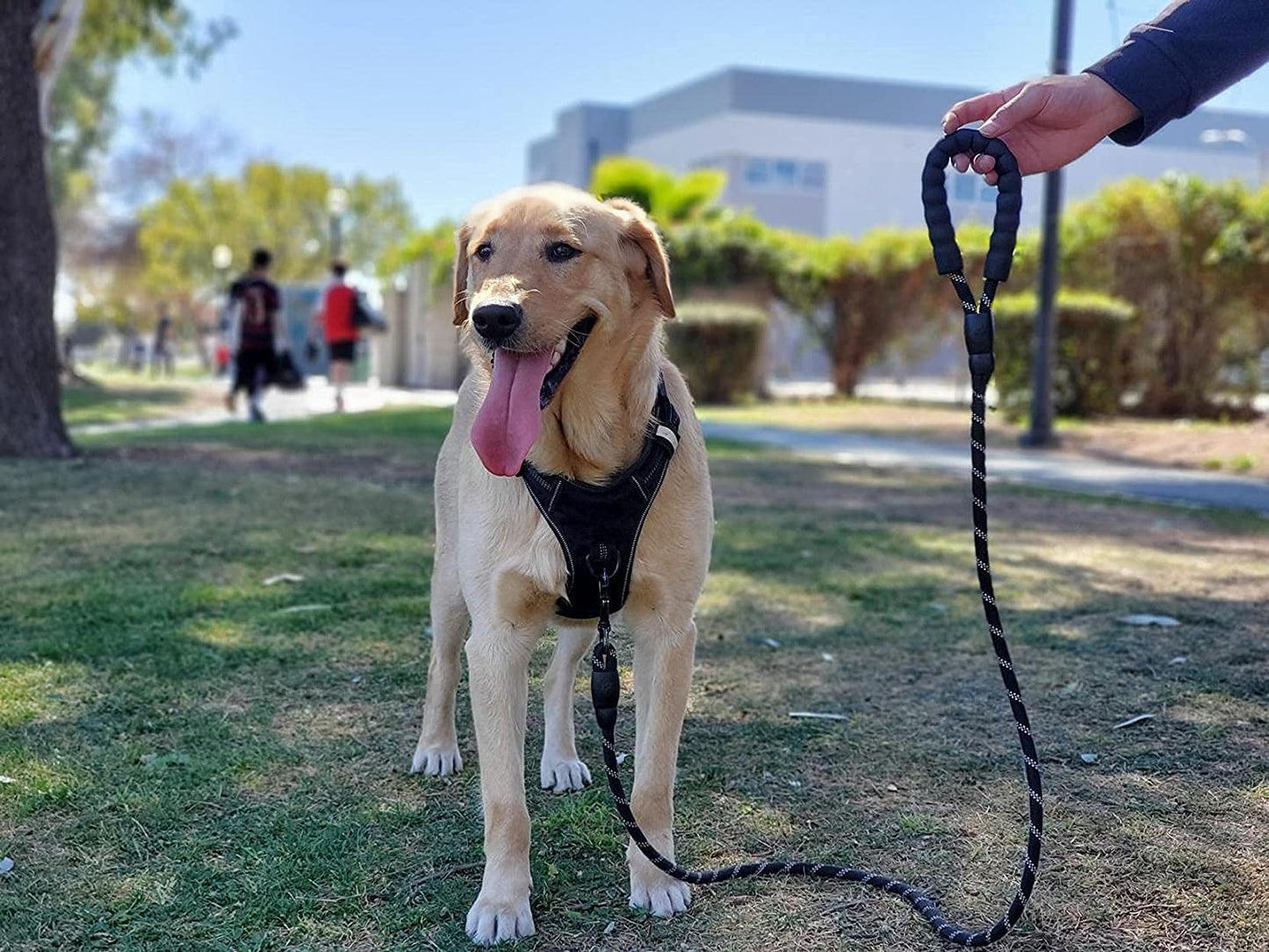 Thick Reflective Heavy Duty Leash with Anti-Slip Padded Handle (5 feet)