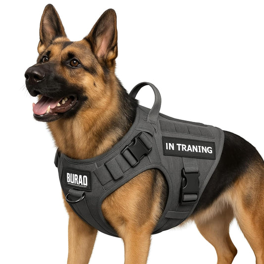 Tactical Dog Harness with Personalized Name - No-Pull - Heavy Duty Adjustable Harness