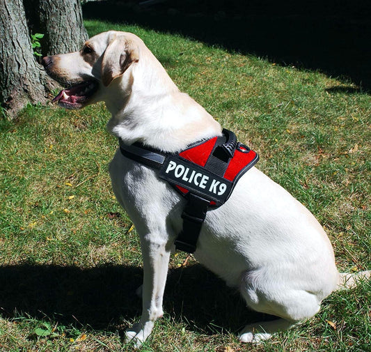 K9 Dog Body Belt Padded No Pull Harness (Red)