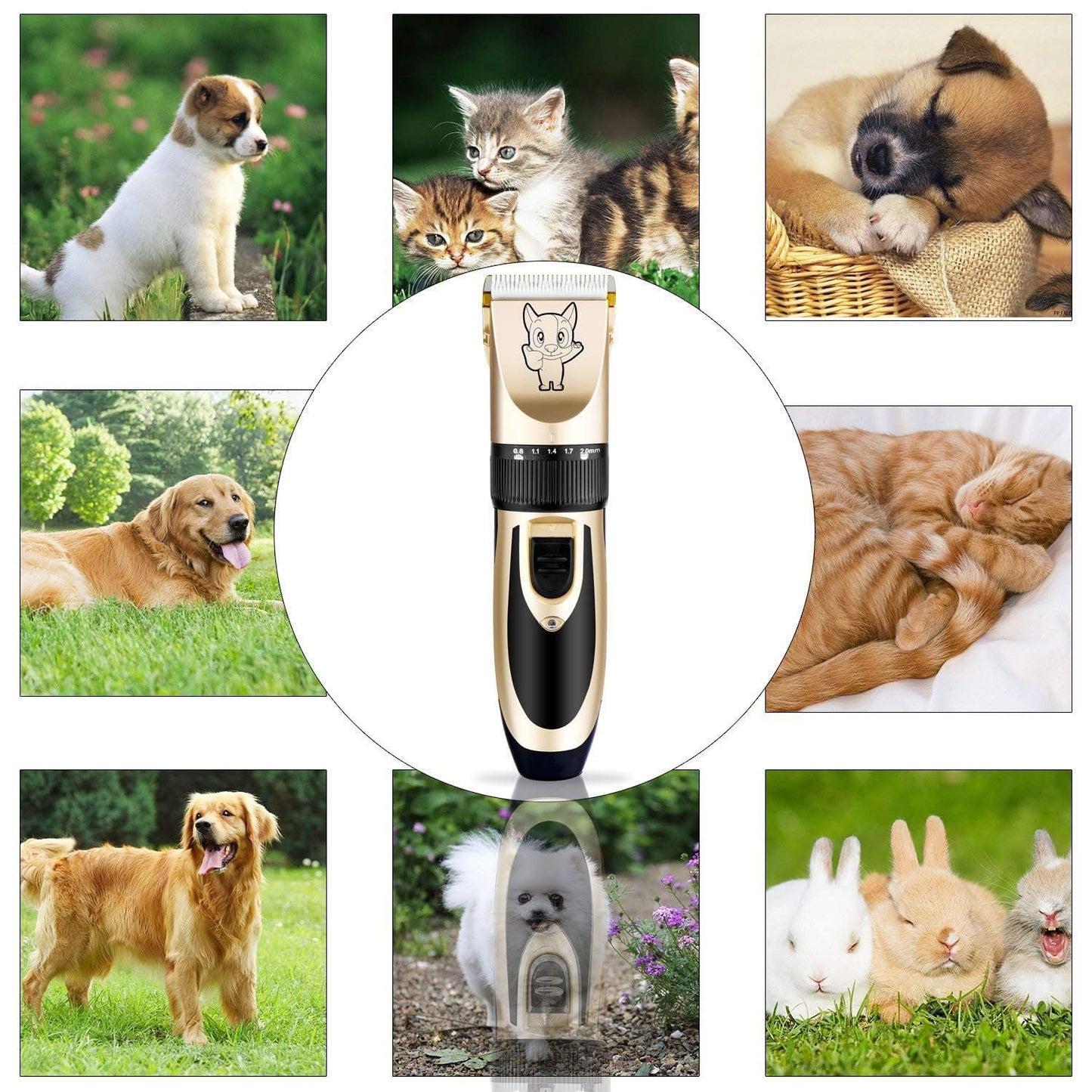 Professional Dog Cat Hair Trimmer - Machine For Heavy Duty, Quiet, Cordless, Rechargeable Dogs Cats Pet Grooming Trimmers Kit