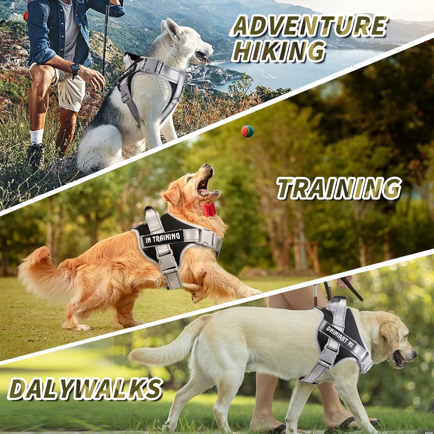 Personalized Dog Harness - Reflective No Pull with Handle & Adjustable - Dog Body Belt For Large Dogs