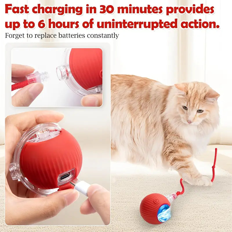 Interactive Pet Ball Toy - Automatic Rolling Dancing Ball