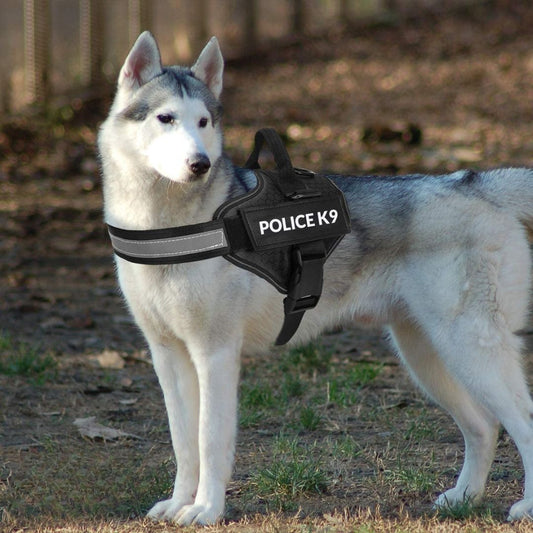 K9 Dog Body Belt Padded No Pull Harness (Black)