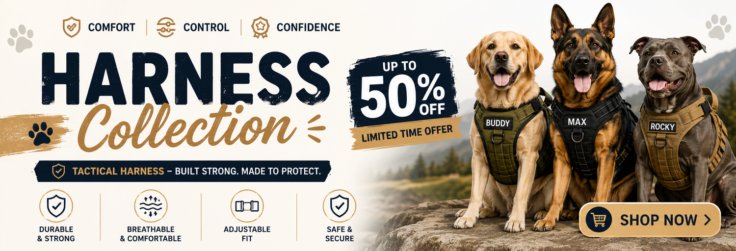 Strong Harness for Strong Dogs