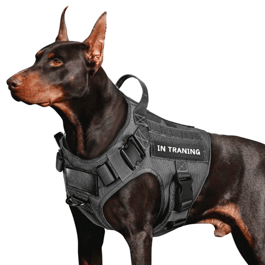 Tactical Dog Harness No-Pull Heavy Duty, Adjustable with Easy Handle (Large Size Dogs)