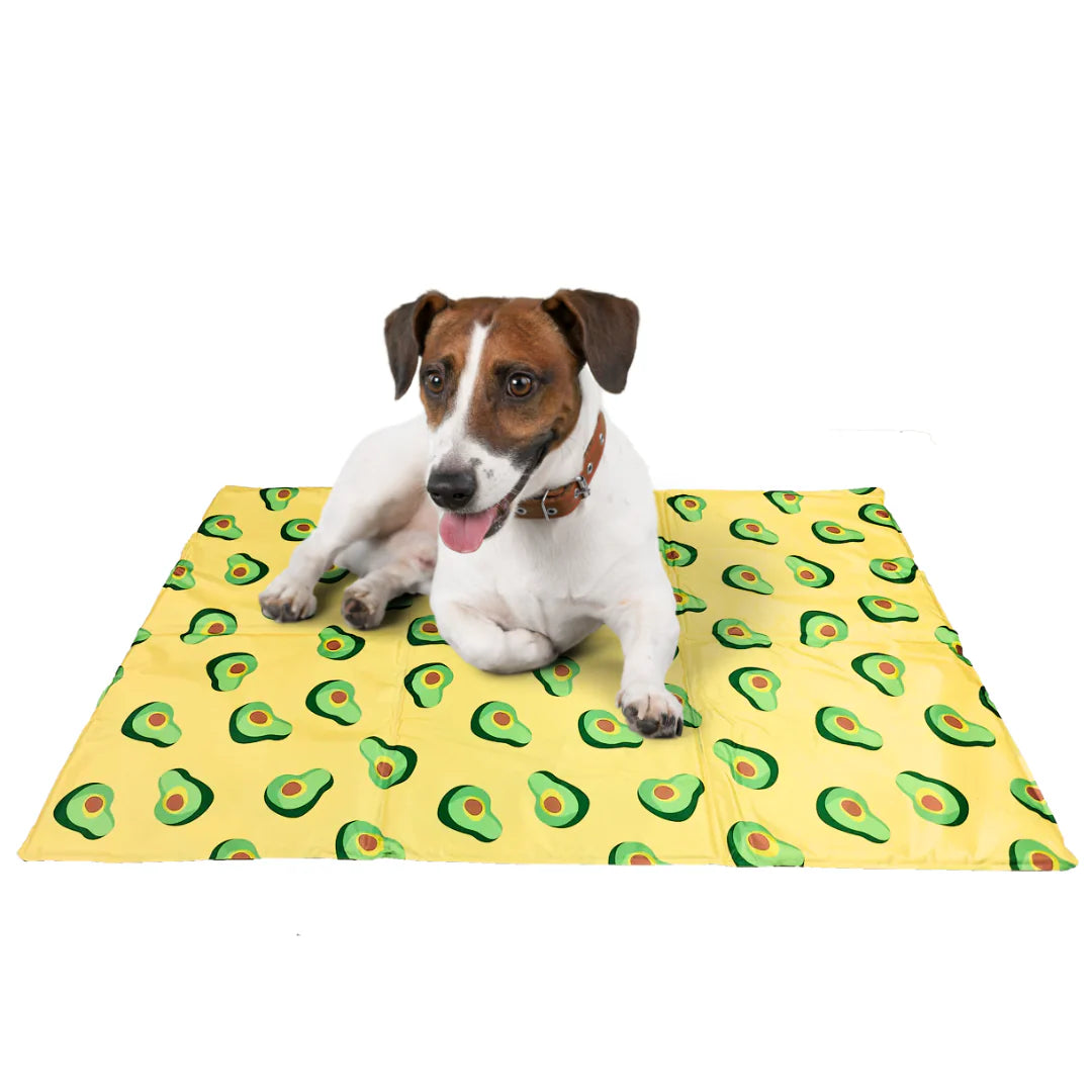 Cooling Gel Mat for Dog, Gel Cool Mat for Summer Days