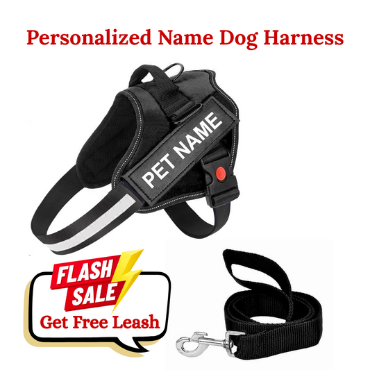 K9 Dog Harness With Name (Harness + Leash) Black