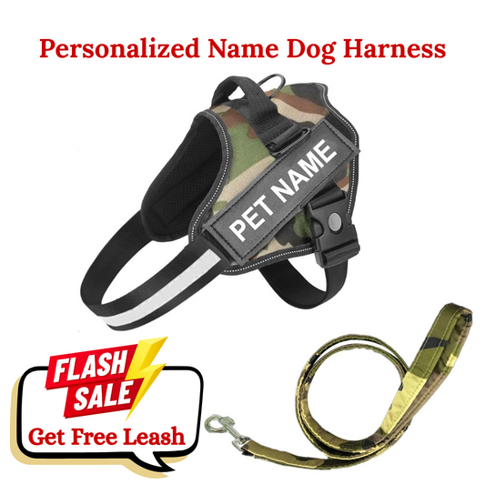K9 Dog Harness With Name (Harness + Leash) Army