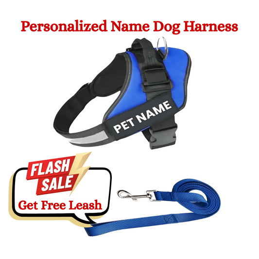 K9 Dog Harness With Name (Harness + Leash) - (Blue)