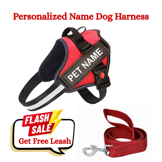 K9 Dog Harness With Name (Harness + Leash) Red