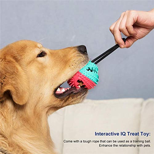 Interactive Dog Ball, Teeth Cleaning & Chew