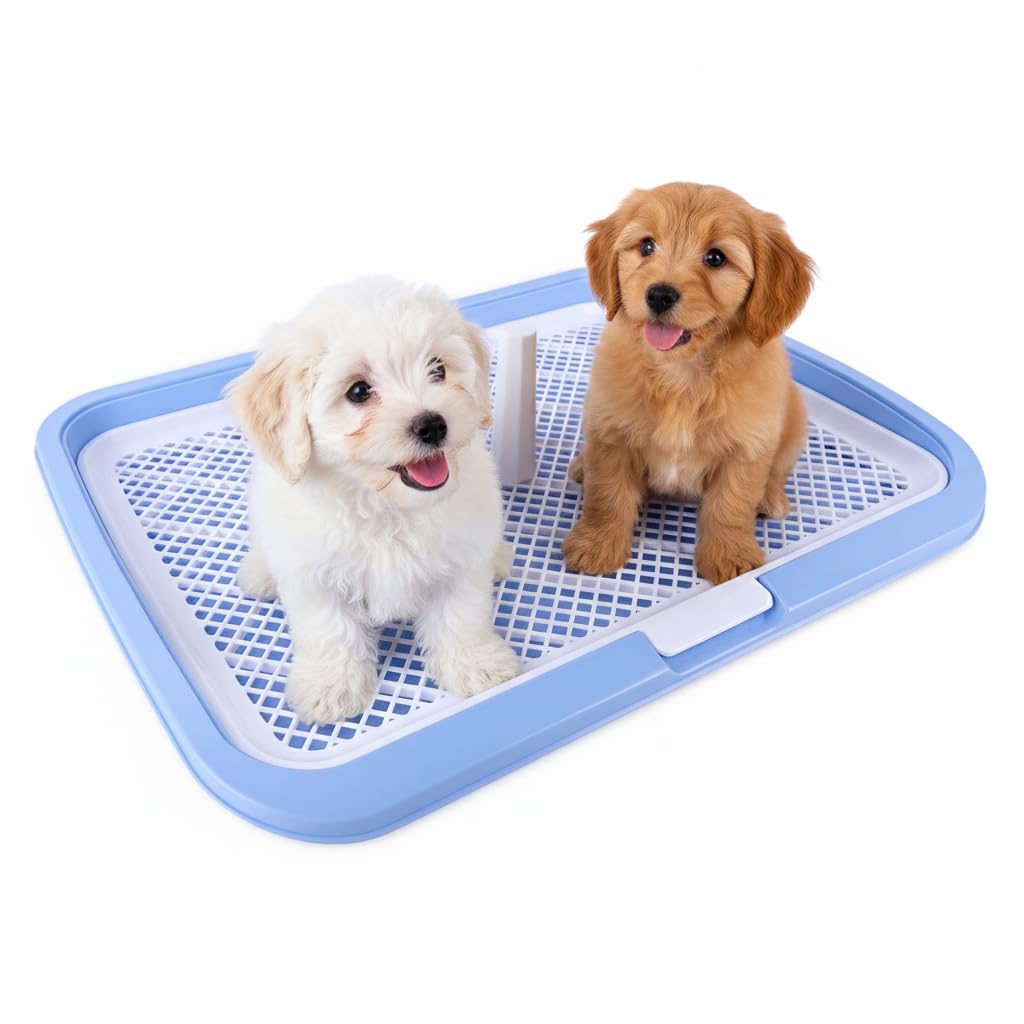 Premium Dog Potty Tray | Indoor Toilet Training System for Puppies & Small Dogs