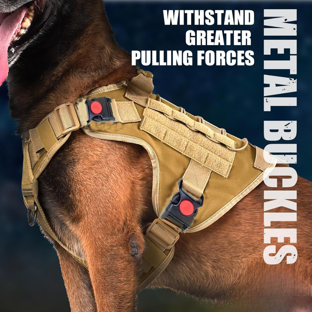 Personalized Dog Harness - Tactical Dog Harness No-Pull Heavy Duty, Adjustable (Large Size Dogs)