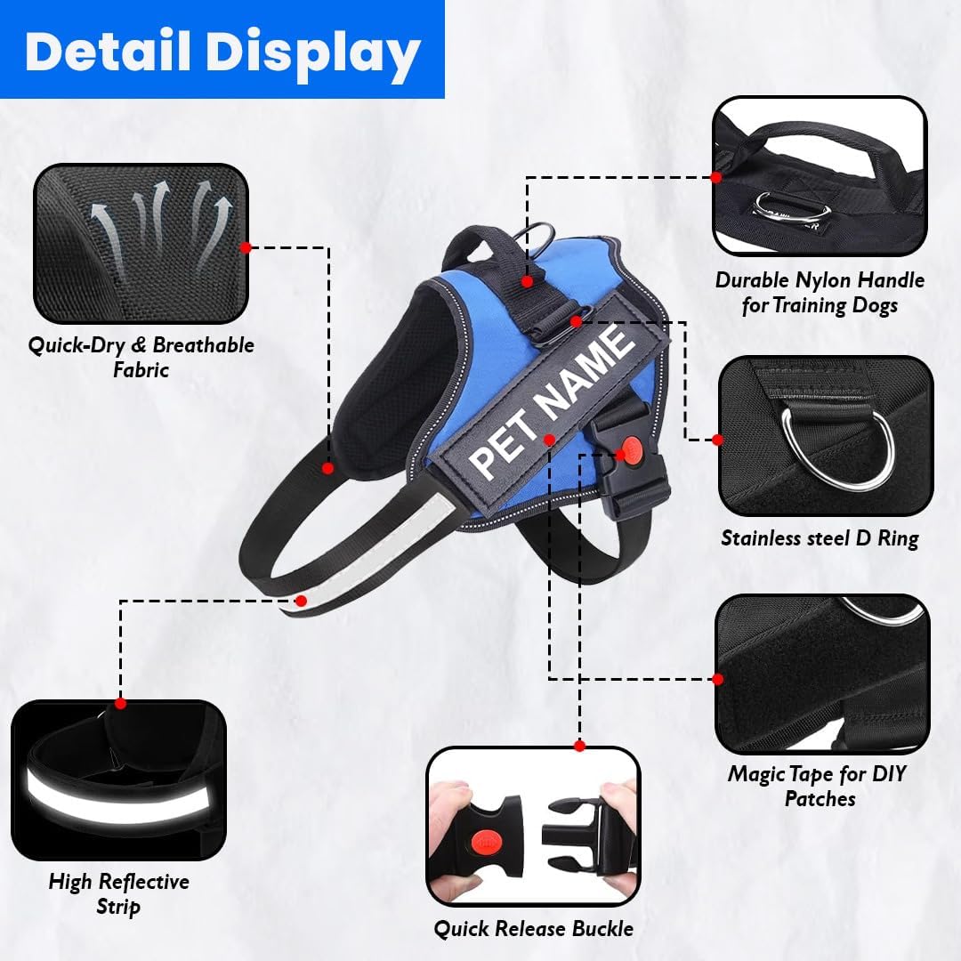 K9 Dog Harness With Name (Harness + Leash) - (Blue)
