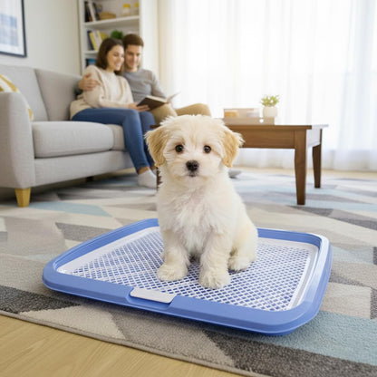 Premium Dog Potty Tray | Indoor Toilet Training System for Puppies & Small Dogs