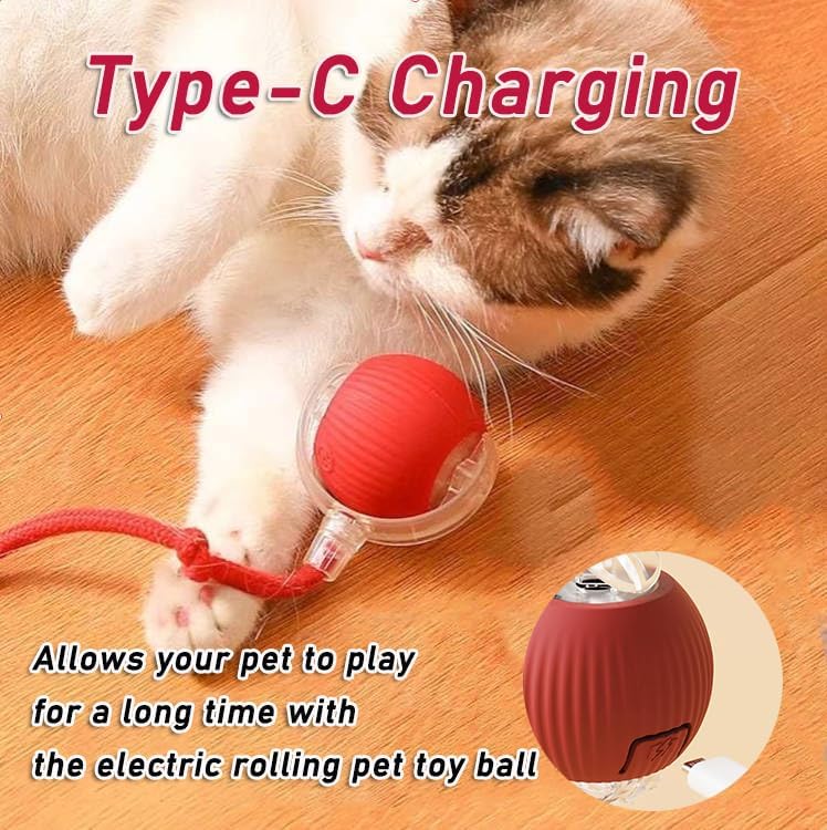 Interactive Pet Ball Toy - Automatic Rolling Dancing Ball