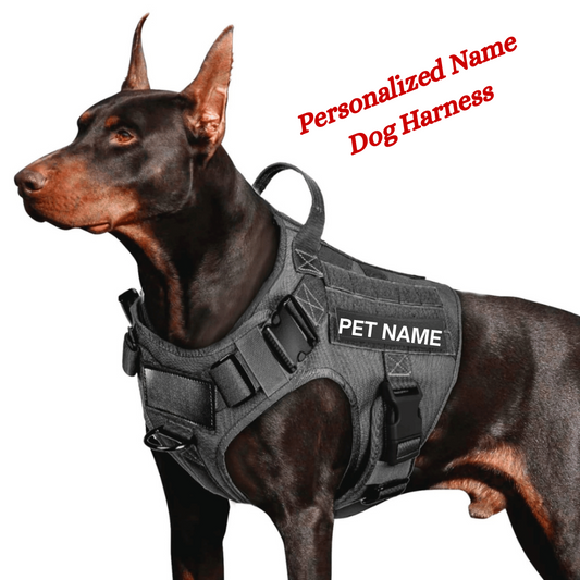 Personalized Dog Harness - Tactical Dog Harness No-Pull Heavy Duty, Adjustable (Large Size Dogs)