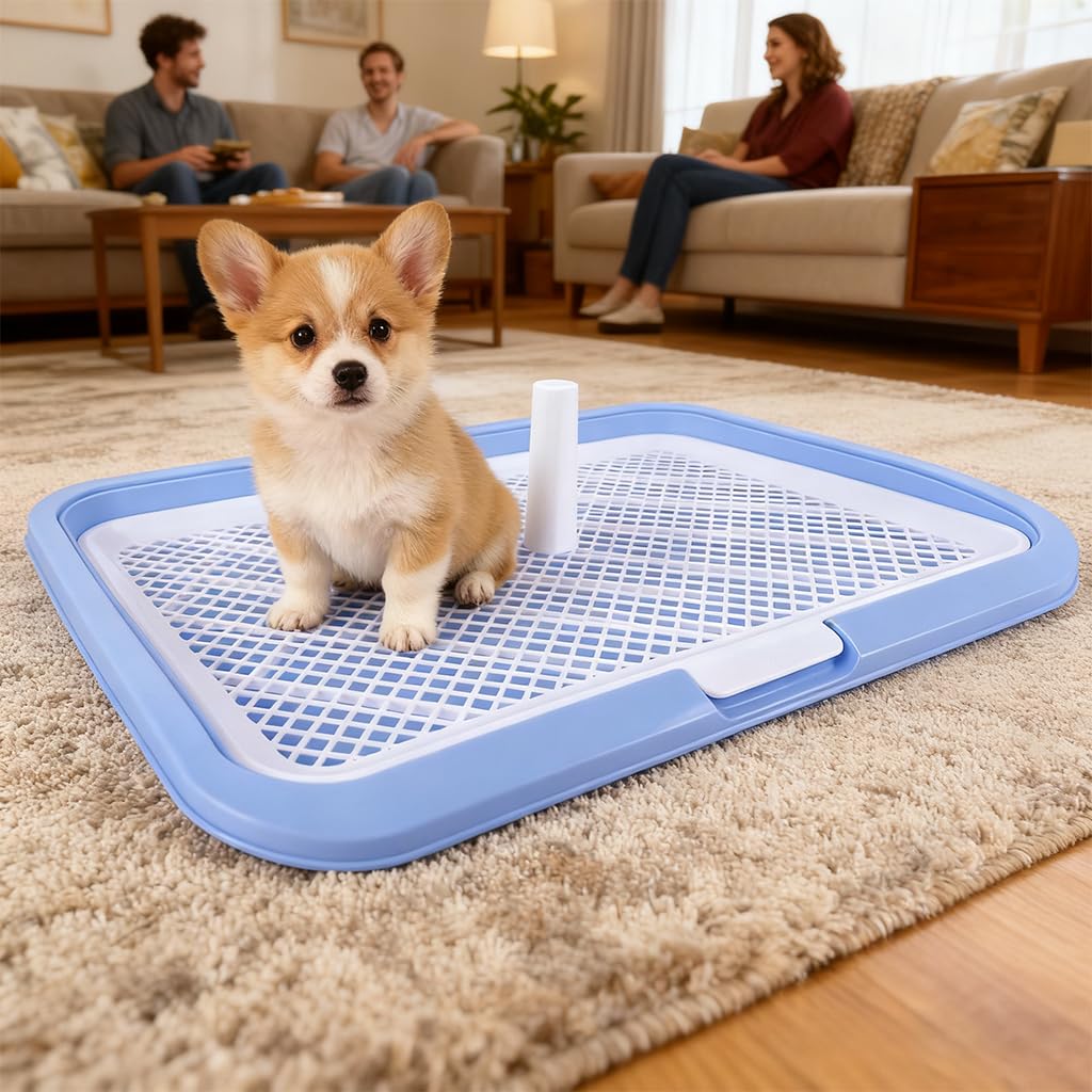 Premium Dog Potty Tray | Indoor Toilet Training System for Puppies & Small Dogs