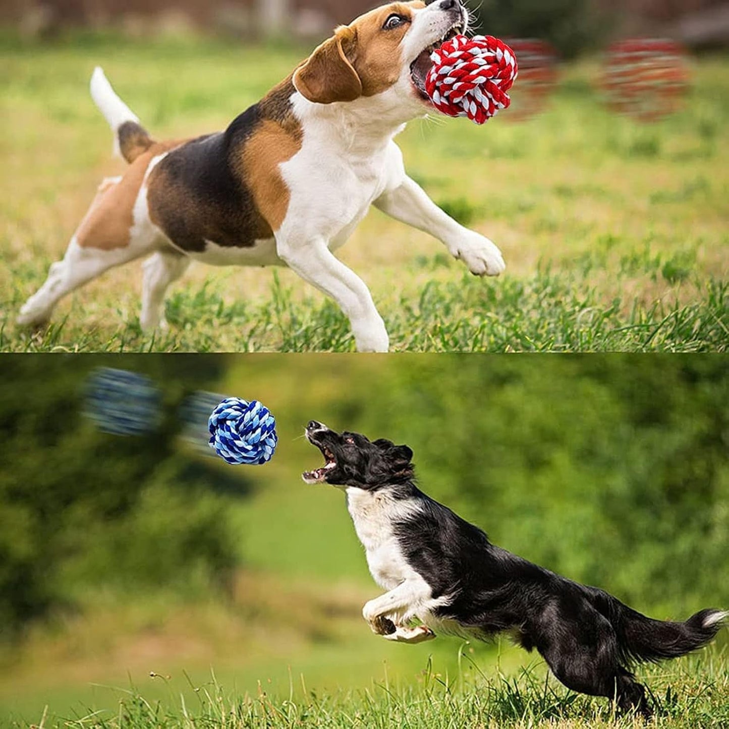 Rope Ball Toy, Tough Cotton Chew for Medium/Large Breeds
