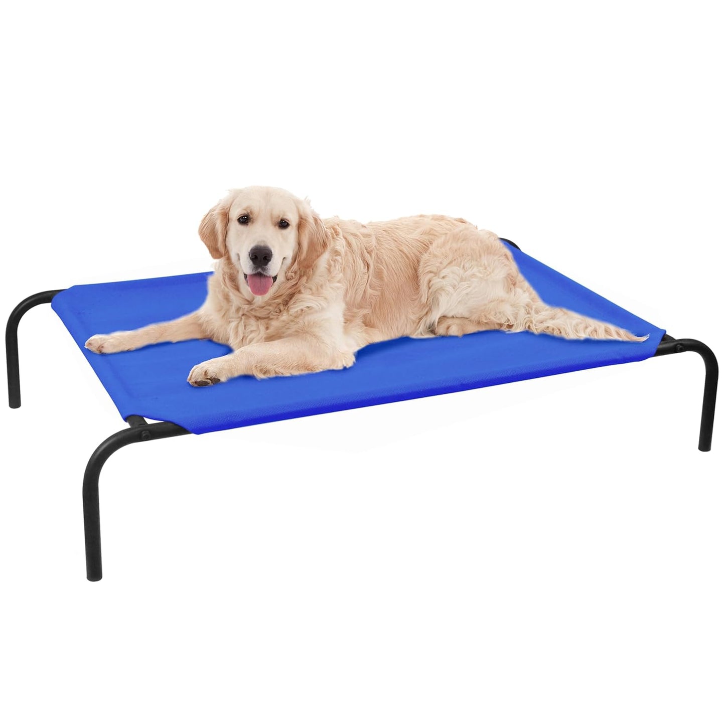 Elevated Dog Bed with Metal Frame (Blue)