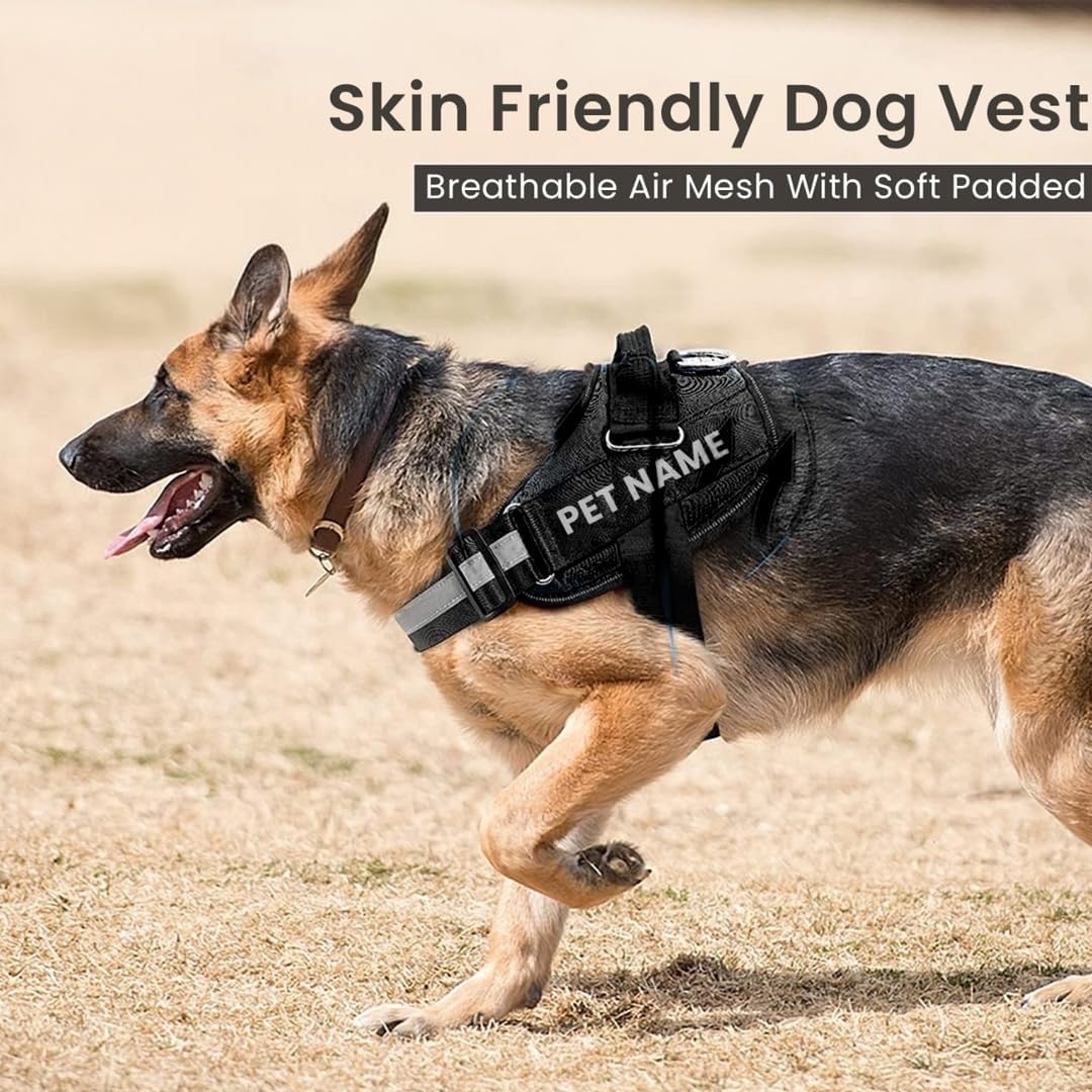 K9 Dog Harness With Name (Harness + Leash) Black