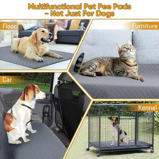 Washable Pee Pads for Dogs (Pack of 2) | Super Absorbent, Machine Washable, Reusable Mats – 100% Waterproof, Anti-Skid Bottom