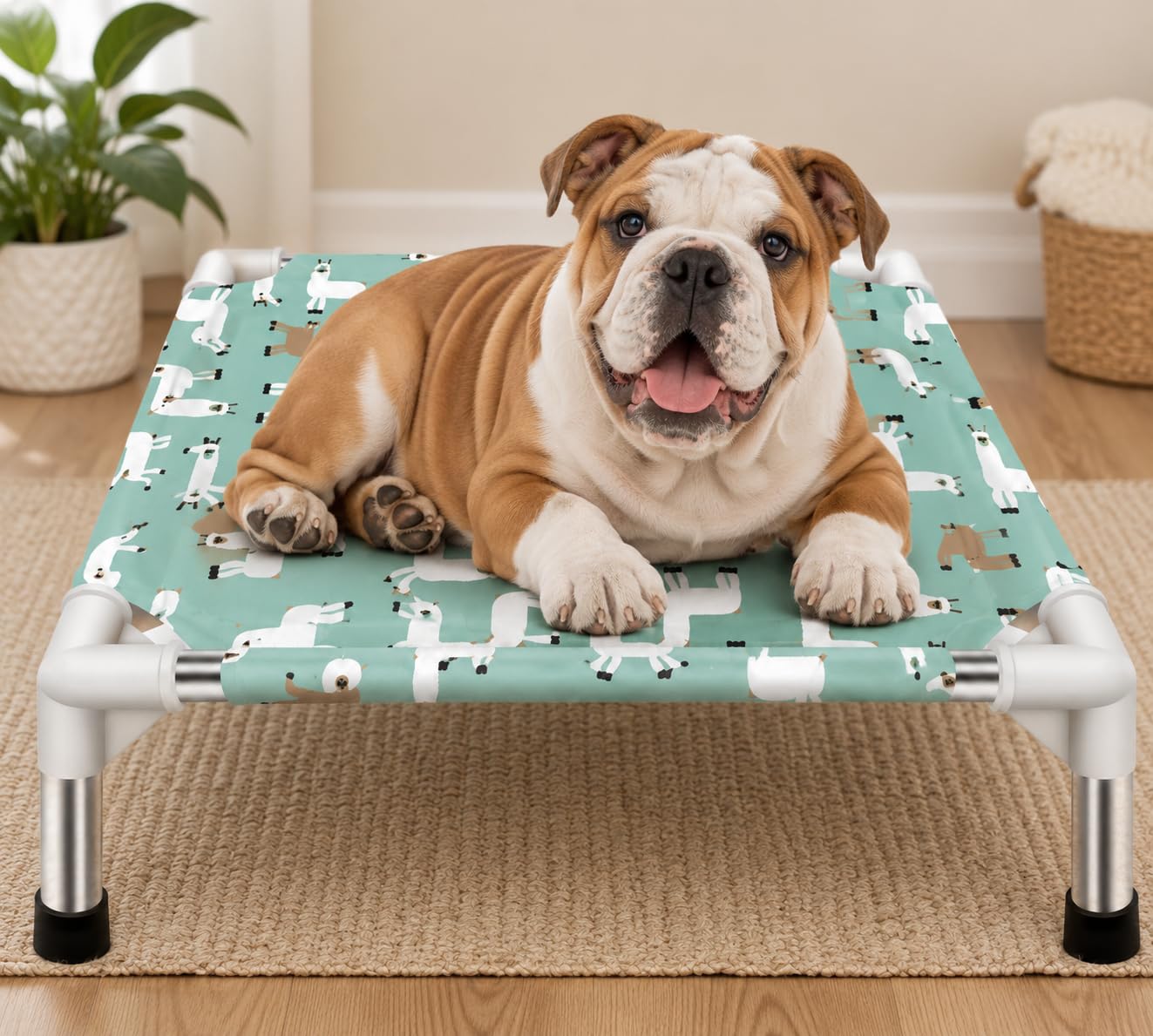 Premium Pet Bed – Foldable Pet Bed for Small Dogs & Cats