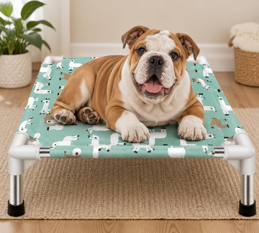 Premium Pet Bed – Foldable Pet Bed for Small Dogs & Cats