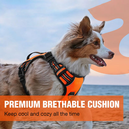 Premium Dog Vest Harness, No-Pull Dog Harness with Leash (Orange)