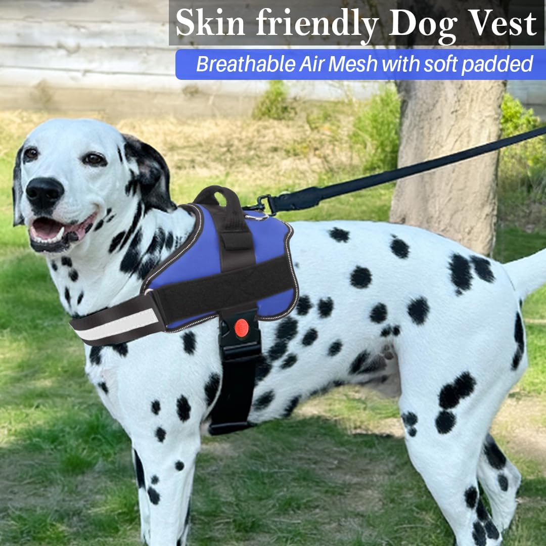 K9 Dog Harness With Name (Harness + Leash) - (Blue)