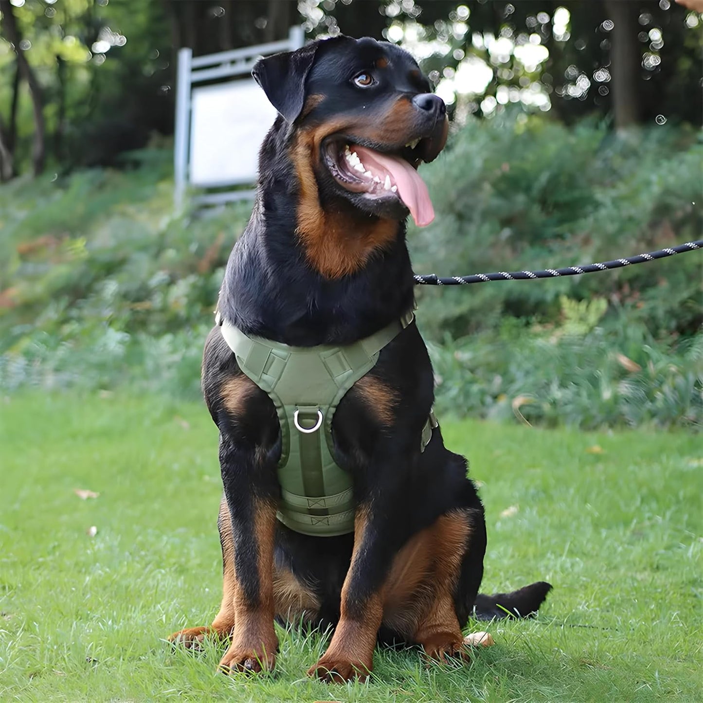 Personalized Name Tactical Dog Harness - No-Pull Heavy Duty Harness (Green Colour)